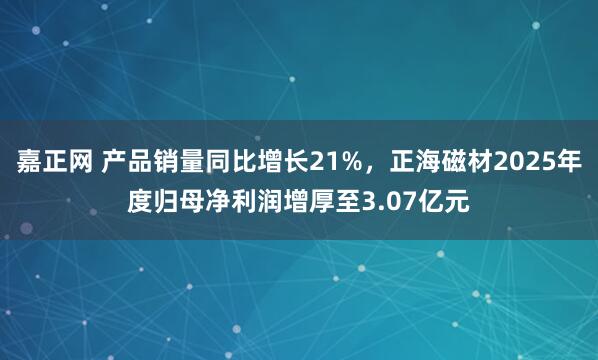 嘉正网 产品销量同比增长21%，正海磁材2025年度归母净利润增厚至3.07亿元