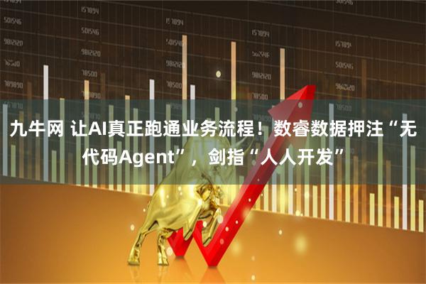 九牛网 让AI真正跑通业务流程！数睿数据押注“无代码Agent”，剑指“人人开发”