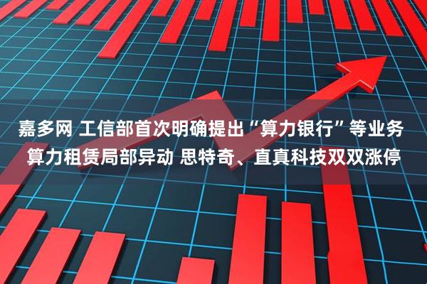 嘉多网 工信部首次明确提出“算力银行”等业务 算力租赁局部异动 思特奇、直真科技双双涨停