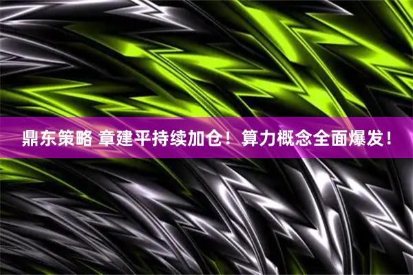 鼎东策略 章建平持续加仓！算力概念全面爆发！